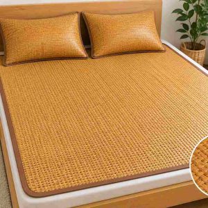 các loại chiếu phổ biến hiện nay