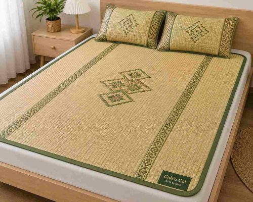 các loại chiếu phổ biến hiện nay